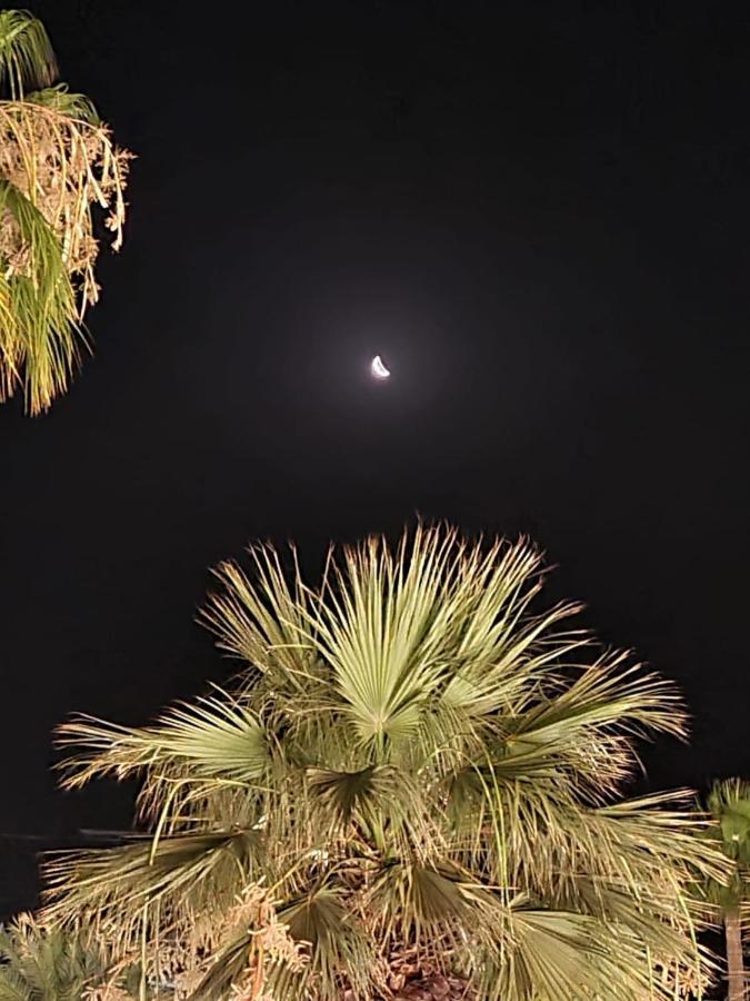 Alex Beach Apartment 31 Larnaca Dış mekan fotoğraf